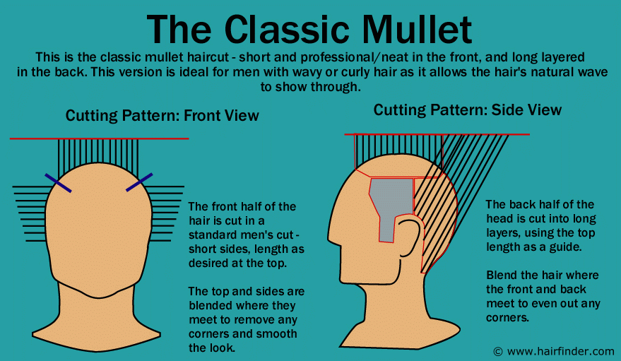 The Senior Living Content Mullet